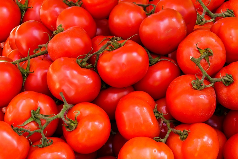 Manfaat Tomat Untuk Kecantiakan Dan Kesehatan